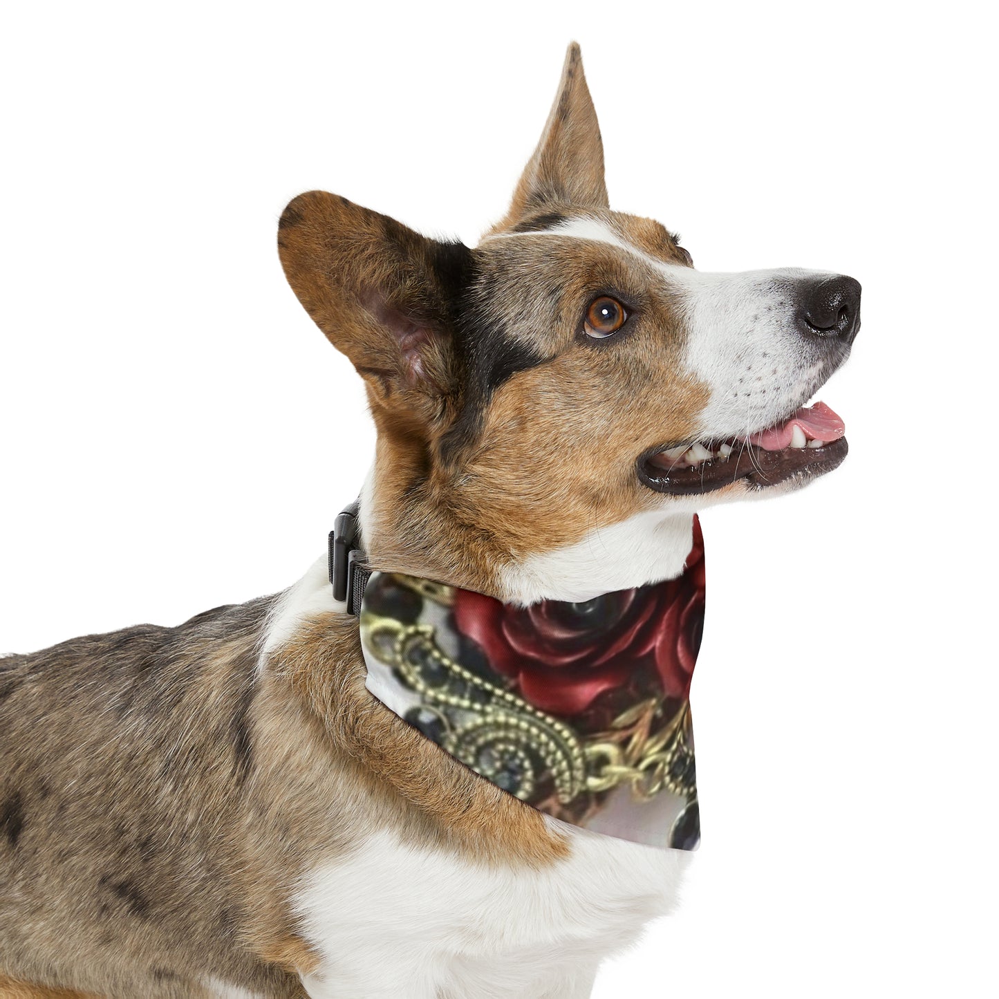 MMVIP - Pet Bandana Collar