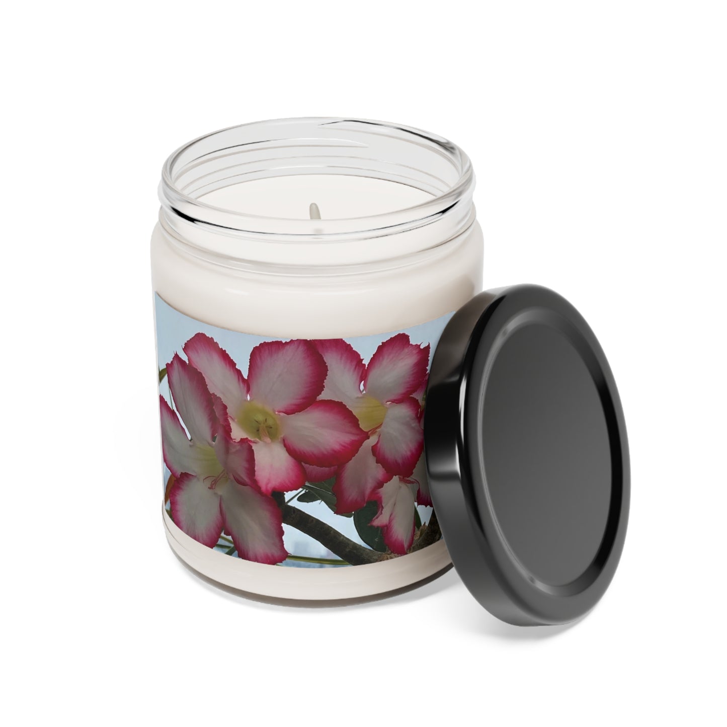 Tropical - Assorted Scents - Soy Candle, 9oz