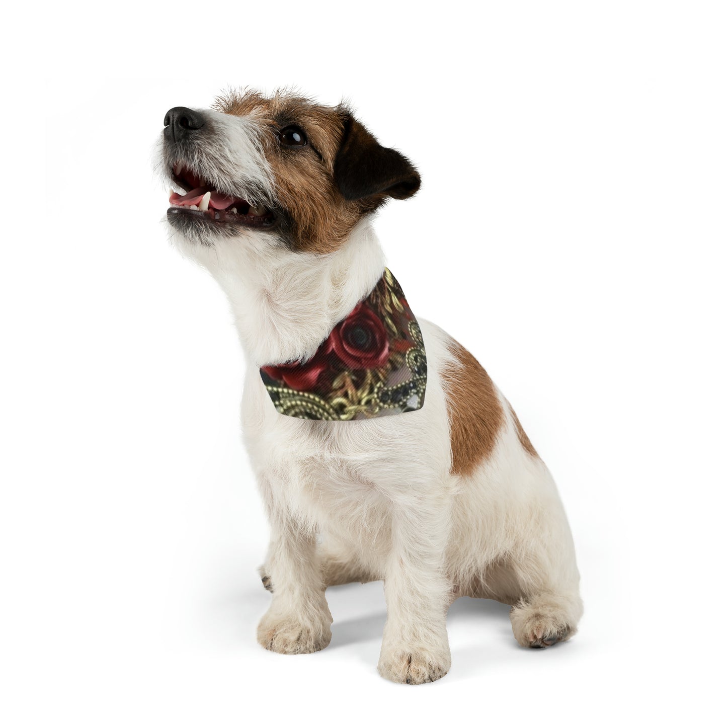 MMVIP - Pet Bandana Collar